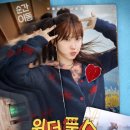 드라마 원더풀스 리뷰 줄거리,등장인물,결말,다시보기 정보까지 정리
