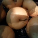 만지 농장 이미지