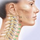 안아픈세상의원 이미지