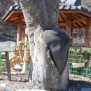 가곡농장 이미지