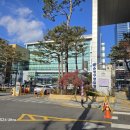 부동산세상공인중개사사무소 네이버블로그