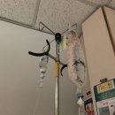 다빈치덴탈 | 건대병원에서 담낭절제수술하기까지의 기록/다빈치 로봇수술/담석증 - 3(수술당일-퇴원)