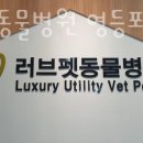 러브펫멀티펫샵마장역점 | 영등포동 동물병원 러브펫동물병원 영등포타임스퀘어점 진료시간 접근성 이용후기
