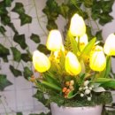 가온누리마켓 이미지