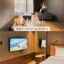 펫패밀리 | 홍천 소노펫 패밀리 스탠다드뷰+소노펫포스트 솔직후기