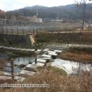 형지공인중개사사무소 이미지