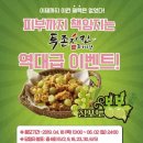 투존치킨 이미지