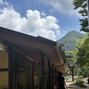 나무와 새 | 천안 청주 근교 애견동반 괴산 나무와새 평상 대여 후기🏖️🐶