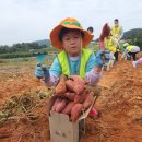 전남도청비둘기어린이집 이미지