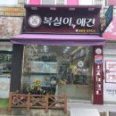 복실이네 애견 이미지