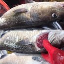 남해꽃게탕 이미지