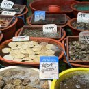 CU 강화외포리수산시장점 이미지