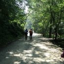 숲속의하루 이미지