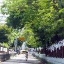 대전삼천초교 이미지