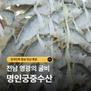 한국인의 밥상 전남 영광의 굴비