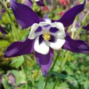 한농한의원 이미지