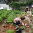 아내의 텃밭 이미지