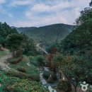 좌구산자연휴양림 이미지