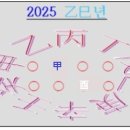 2025 을사년 운세풀이(합격운과 취업운) 이미지