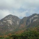 922 Daum카페
