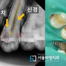 서울녹번치과의원 이미지