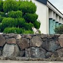 제일종묘사 | [2025] 10월의 제주도. 동쪽에서 혼자 3박4일 여행 DAY2 "코난해변, 김녕빗소리, 롯지먼트, 청굴물...