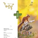사보 카카오 검색결과