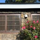 택하다, 스테이 이미지