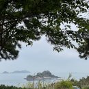 국화도 당일치기 여행 국화식당 후기