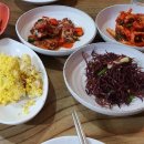 다찌호프