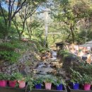 치산123민박 이미지