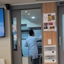 준동물병원 | 광진구 자양동 준동물병원 강아지 "토리" 당뇨병, 쿠싱증후군치료 후기