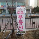 스타공인중개사무소 이미지