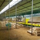 태은농장 이미지