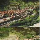 바이온트 이미지