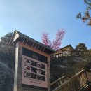 포천 허브아일랜드 관광안내소 이미지