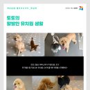 개님살롱 레이크사이드 이미지