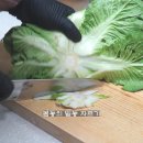 고수의비법 이미지