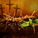 고난주간(사순절)을 맞는 우리의 자세 이미지