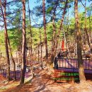 한반도솔숲쉼터 이미지