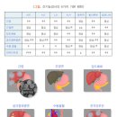 간기능 검사 6가지 기본패턴 (Liver function test). 이미지