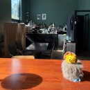 덕천1길 | 덕천카페 추천 카페 누아 후기 (내돈내산) | 망고산도 맛집 + 하이볼 가능