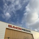 렙타일코리아 | [수원]코리아 렙타일 포럼 내돈내산 후기