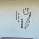 창원요니헤어 이미지