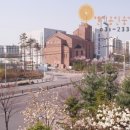 곡반정동 명성교회 앞 이미지