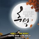 용인대힘찬태권도 이미지