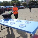 공산초등학교 이미지