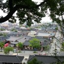 청년과일 이미지