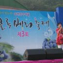 제3회 익산블루베리축제(2011.7.1) 이미지