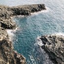 제주희동이네 이미지